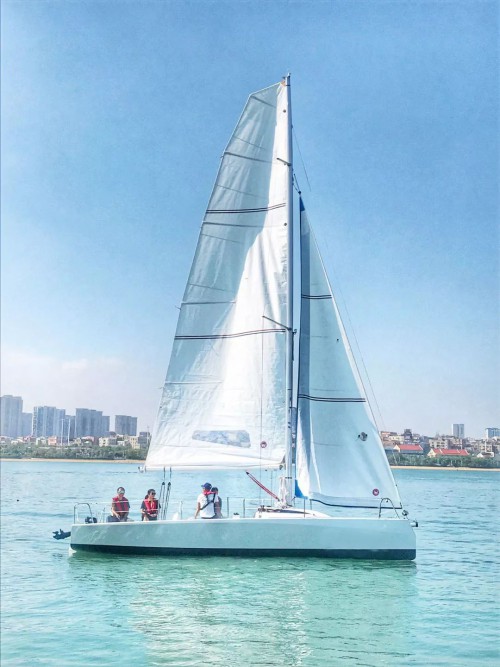 Hansheng 8 production sail yacht 2